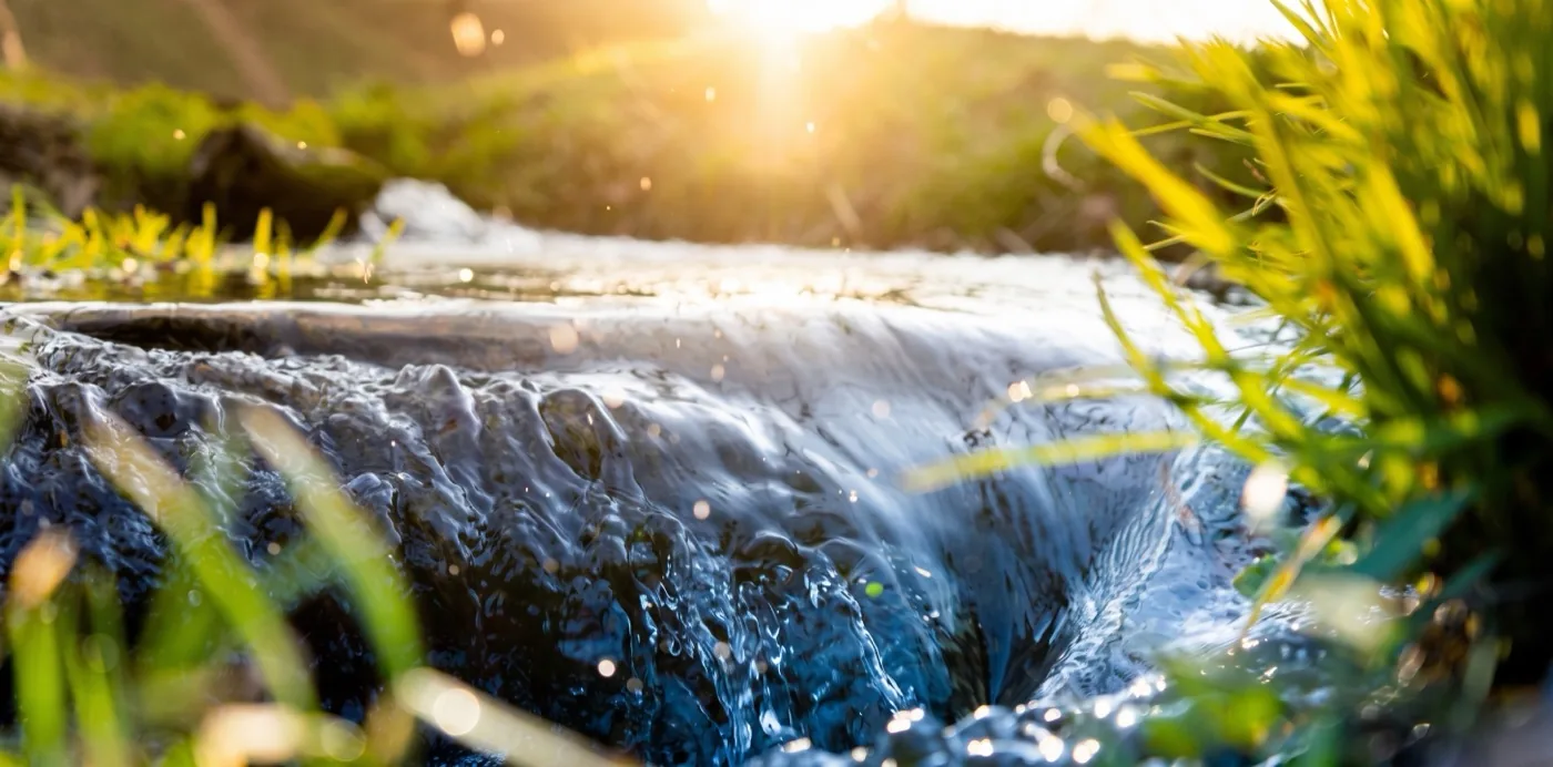A clear stream flowing through sunlit grass
